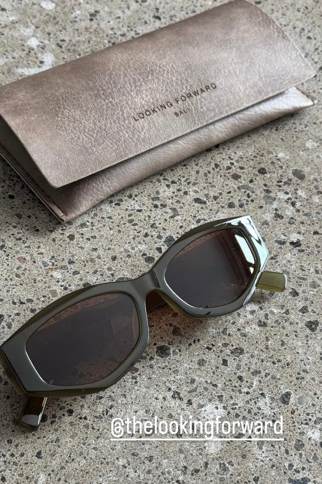 Sunglasses Protective Case - Looking Forward