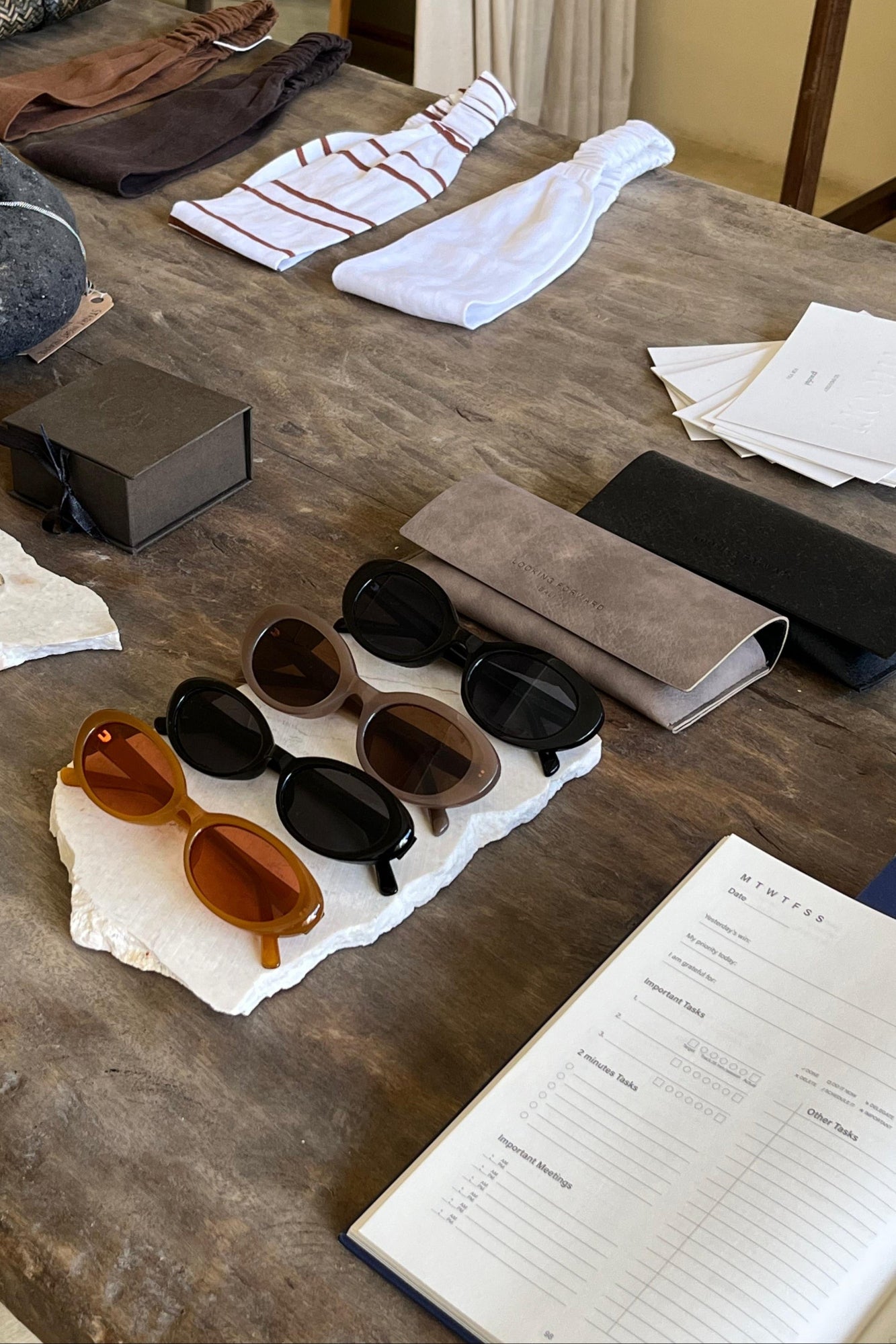 Sunglasses Protective Case - Looking Forward